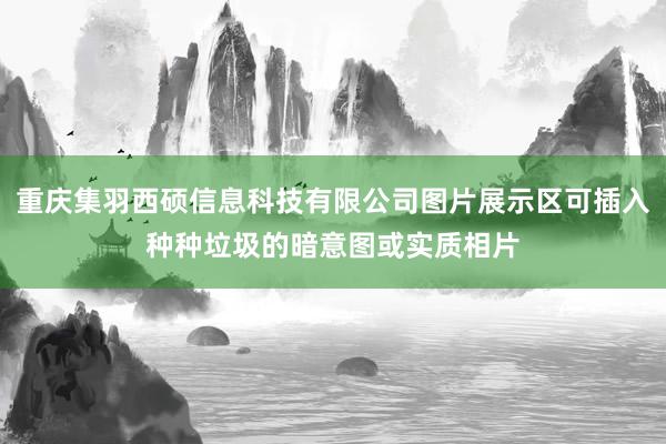 重庆集羽西硕信息科技有限公司图片展示区可插入种种垃圾的暗意图或实质相片