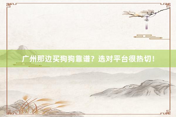 广州那边买狗狗靠谱？选对平台很热切！