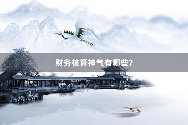 财务核算神气有哪些？